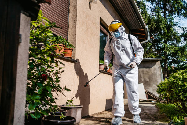 Reliable Dolton, IL Pest Control Solutions