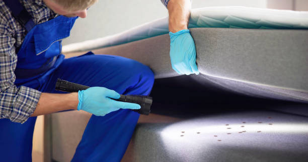 Best Affordable Pest Control Services  in Dolton, IL