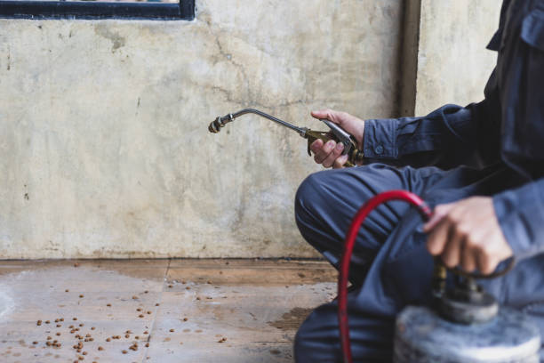Best Cockroach Control Services  in Dolton, IL